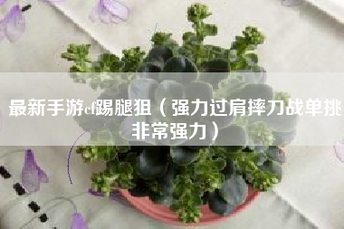 最新手游cf踢腿狙（强力过肩摔刀战单挑非常强力）