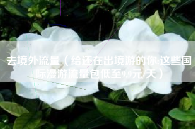 去境外流量（给还在出境游的你:这些国际漫游流量包低至9.9元/天）