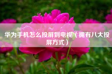 华为手机怎么投屏到电视（拥有八大投屏方式）