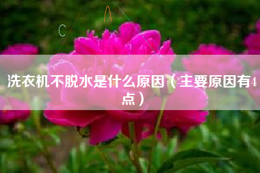 洗衣机不脱水是什么原因（主要原因有4点）