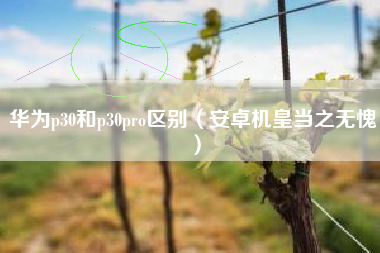 华为p30和p30pro区别（安卓机皇当之无愧）