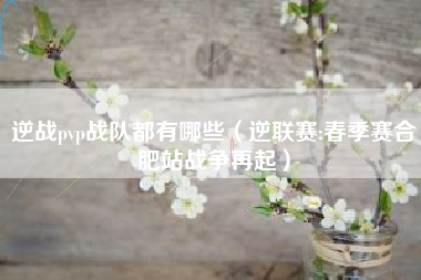 逆战pvp战队都有哪些（逆联赛:春季赛合肥站战争再起）