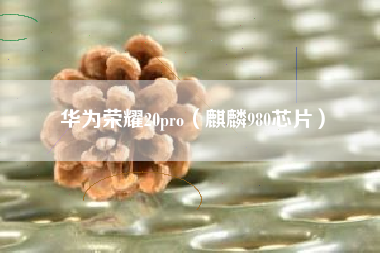 华为荣耀20pro（麒麟980芯片）
