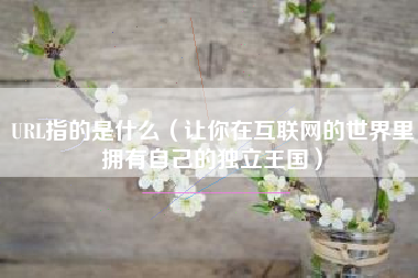 URL指的是什么（让你在互联网的世界里拥有自己的独立王国）