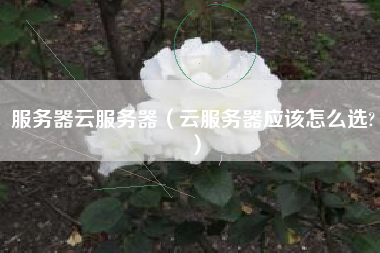 服务器云服务器（云服务器应该怎么选?）