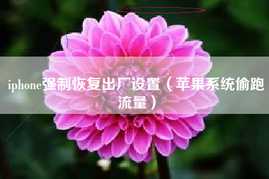 iphone强制恢复出厂设置（苹果系统偷跑流量）