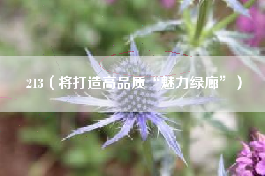 213（将打造高品质“魅力绿廊”）