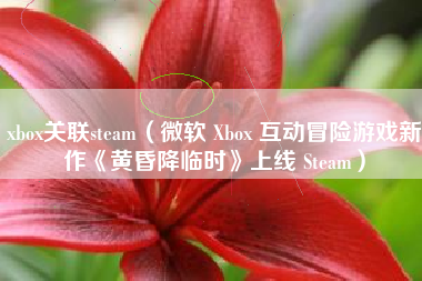 xbox关联steam（微软 Xbox 互动冒险游戏新作《黄昏降临时》上线 Steam）