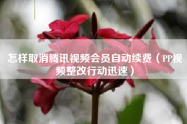 怎样取消腾讯视频会员自动续费（PP视频整改行动迅速）
