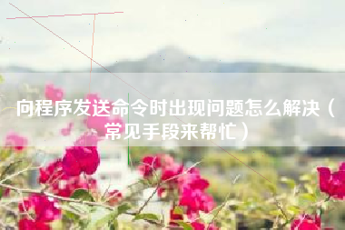 向程序发送命令时出现问题怎么解决（常见手段来帮忙）