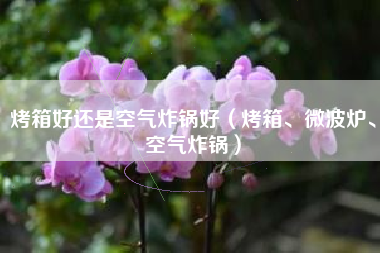 烤箱好还是空气炸锅好（烤箱、微波炉、空气炸锅）
