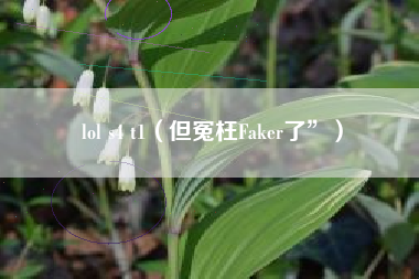 lol s4 t1（但冤枉Faker了”）