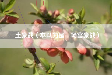 土豪战（本以为是一场富豪战）