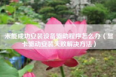 未能成功安装设备驱动程序怎么办（显卡驱动安装失败解决方法）