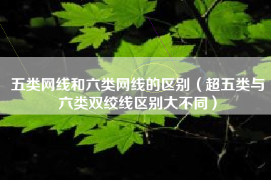 五类网线和六类网线的区别（超五类与六类双绞线区别大不同）