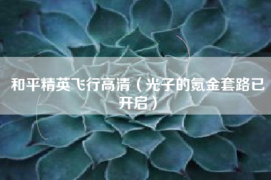和平精英飞行高清（光子的氪金套路已开启）