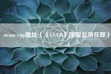 steam csip地址（《CS:GO》国服公测在即）