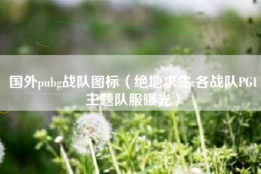 国外pubg战队图标（绝地求生:各战队PGI主题队服曝光）