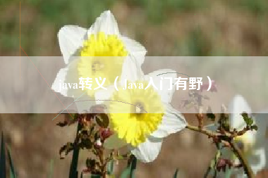 java转义（Java入门有野）