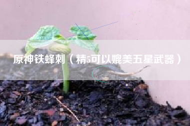 原神铁蜂刺（精5可以媲美五星武器）
