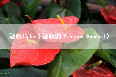 魅族15plus（魅族的 Premium Standard）
