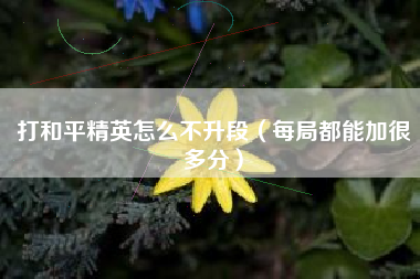 打和平精英怎么不升段（每局都能加很多分）