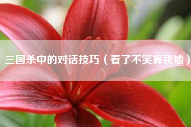 三国杀中的对话技巧（看了不笑算我输）