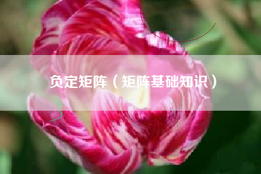 负定矩阵（矩阵基础知识）