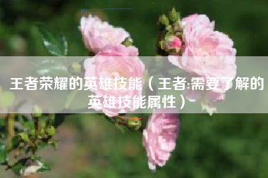 王者荣耀的英雄技能（王者:需要了解的英雄技能属性）