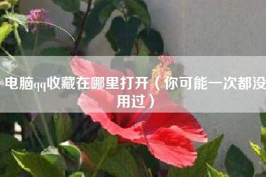 电脑qq收藏在哪里打开（你可能一次都没用过）
