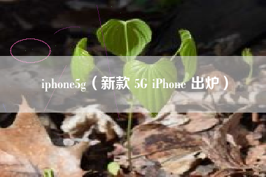 iphone5g（新款 5G iPhone 出炉）