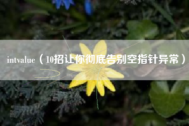 intvalue（10招让你彻底告别空指针异常）