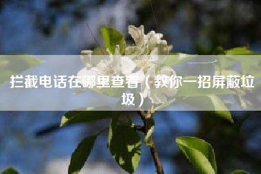 拦截电话在哪里查看（教你一招屏蔽垃圾）