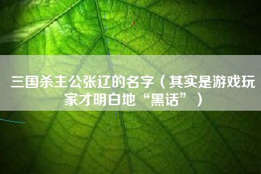 三国杀主公张辽的名字（其实是游戏玩家才明白地“黑话”）