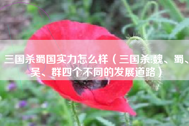 三国杀蜀国实力怎么样（三国杀:魏、蜀、吴、群四个不同的发展道路）