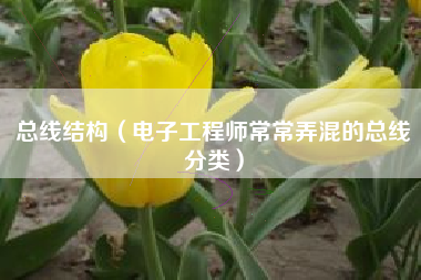 总线结构（电子工程师常常弄混的总线分类）
