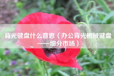 背光键盘什么意思（办公背光机械键盘——细分市场）