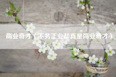 商业奇才（不务正业却真是商业奇才）