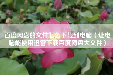 百度网盘的文件怎么下载到电脑（让电脑能使用迅雷下载百度网盘大文件）