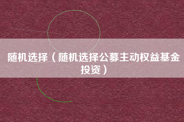 随机选择（随机选择公募主动权益基金投资）