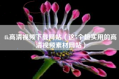 4k高清视频下载网站（这5个超实用的高清视频素材网站）