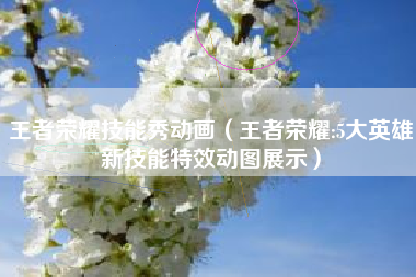 王者荣耀技能秀动画（王者荣耀:5大英雄新技能特效动图展示）