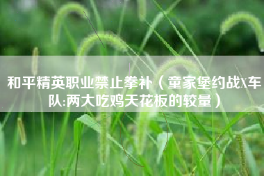 和平精英职业禁止拳补（童家堡约战X车队:两大吃鸡天花板的较量）