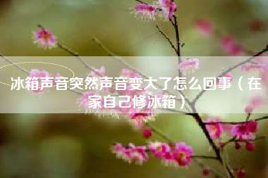 冰箱声音突然声音变大了怎么回事（在家自己修冰箱）