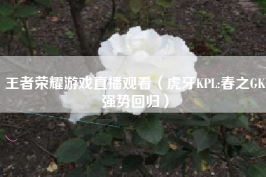 王者荣耀游戏直播观看（虎牙KPL:春之GK强势回归）