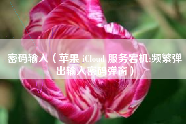 密码输入（苹果 iCloud 服务宕机:频繁弹出输入密码弹窗）