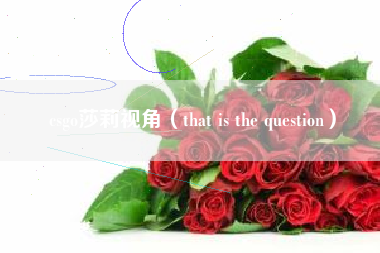 csgo莎莉视角（that is the question）