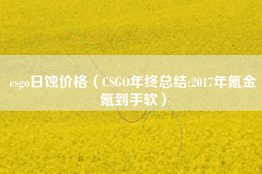 csgo日蚀价格（CSGO年终总结:2017年氪金氪到手软）