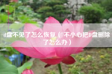 d盘不见了怎么恢复（ 不小心把D盘删除了怎么办）