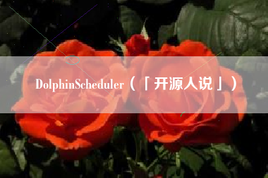 DolphinScheduler（「开源人说」）